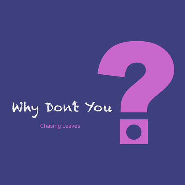 Origonal Song by Chasing Leaves - Why Don't You